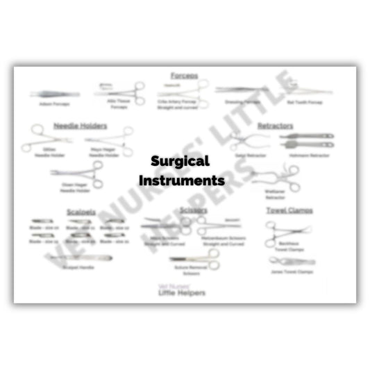 Surgical Instruments Poster - Vet Nurses Little Helpers