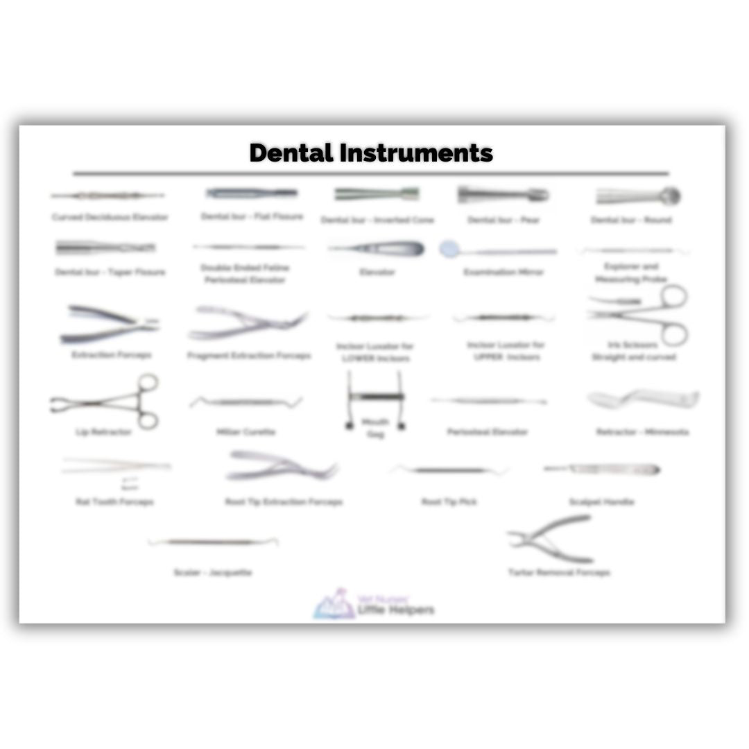 Dental Instruments Poster - Vet Nurses Little Helpers