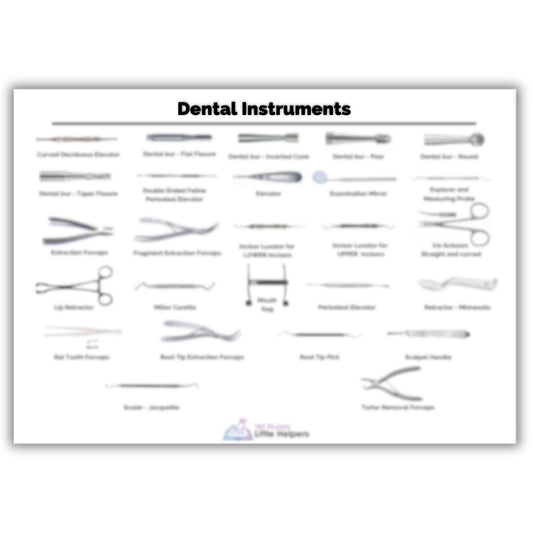 Dental Instruments Poster - Vet Nurses Little Helpers