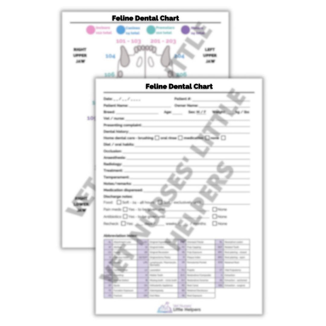 Feline Dental Chart Poster - Digital Version - Vet Nurses Little Helpers