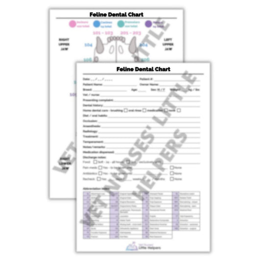 The Dental Chart Bundle - Vet Nurses Little Helpers