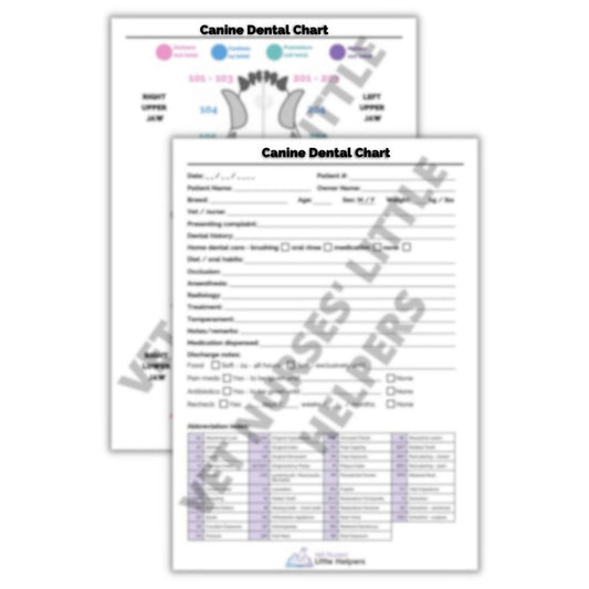 Canine Dental Chart - Vet Nurses Little Helpers