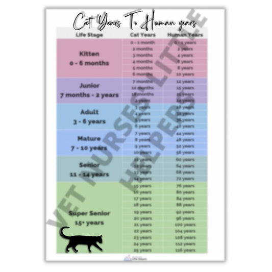 Feline Age Poster - Vet Nurses Little Helpers