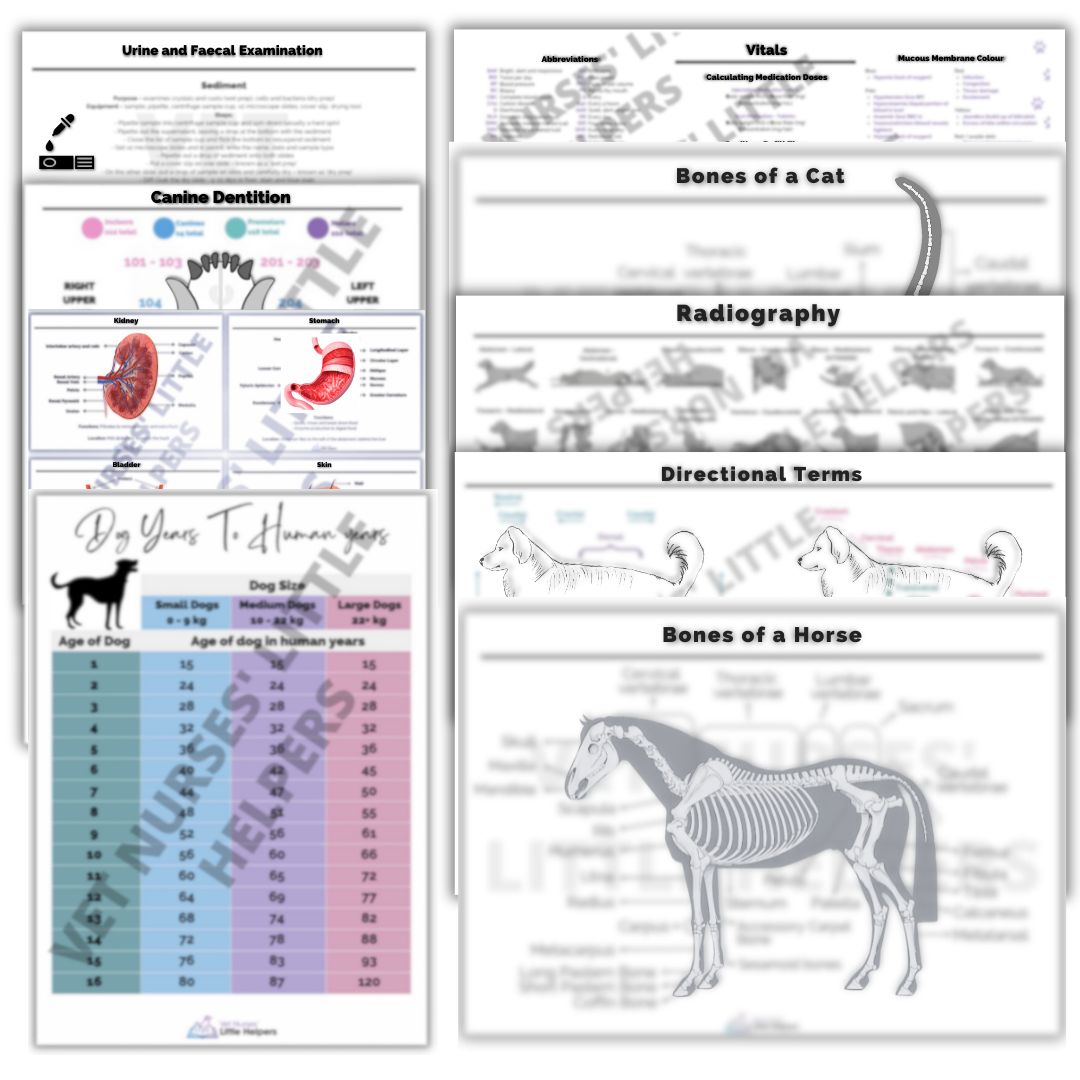 The Posters Bundle - Digital Version - Vet Nurses Little Helpers