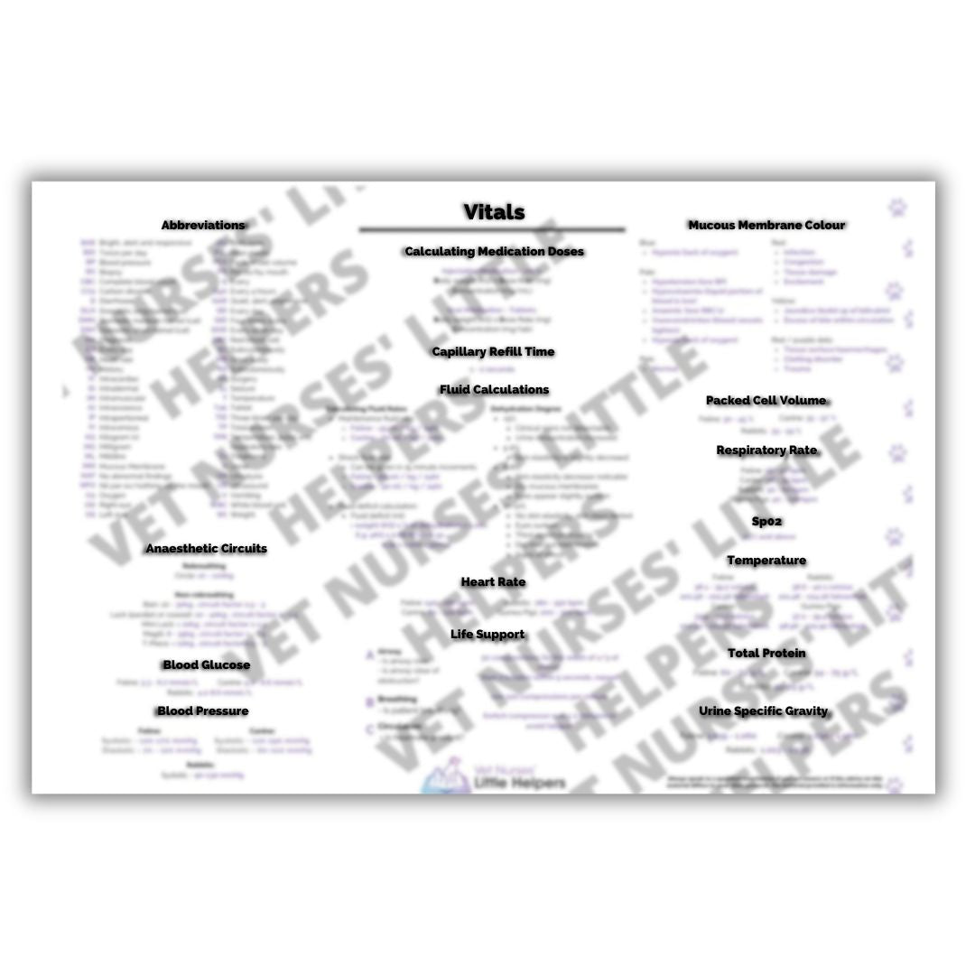Vitals Poster - Digital Version - Vet Nurses Little Helpers