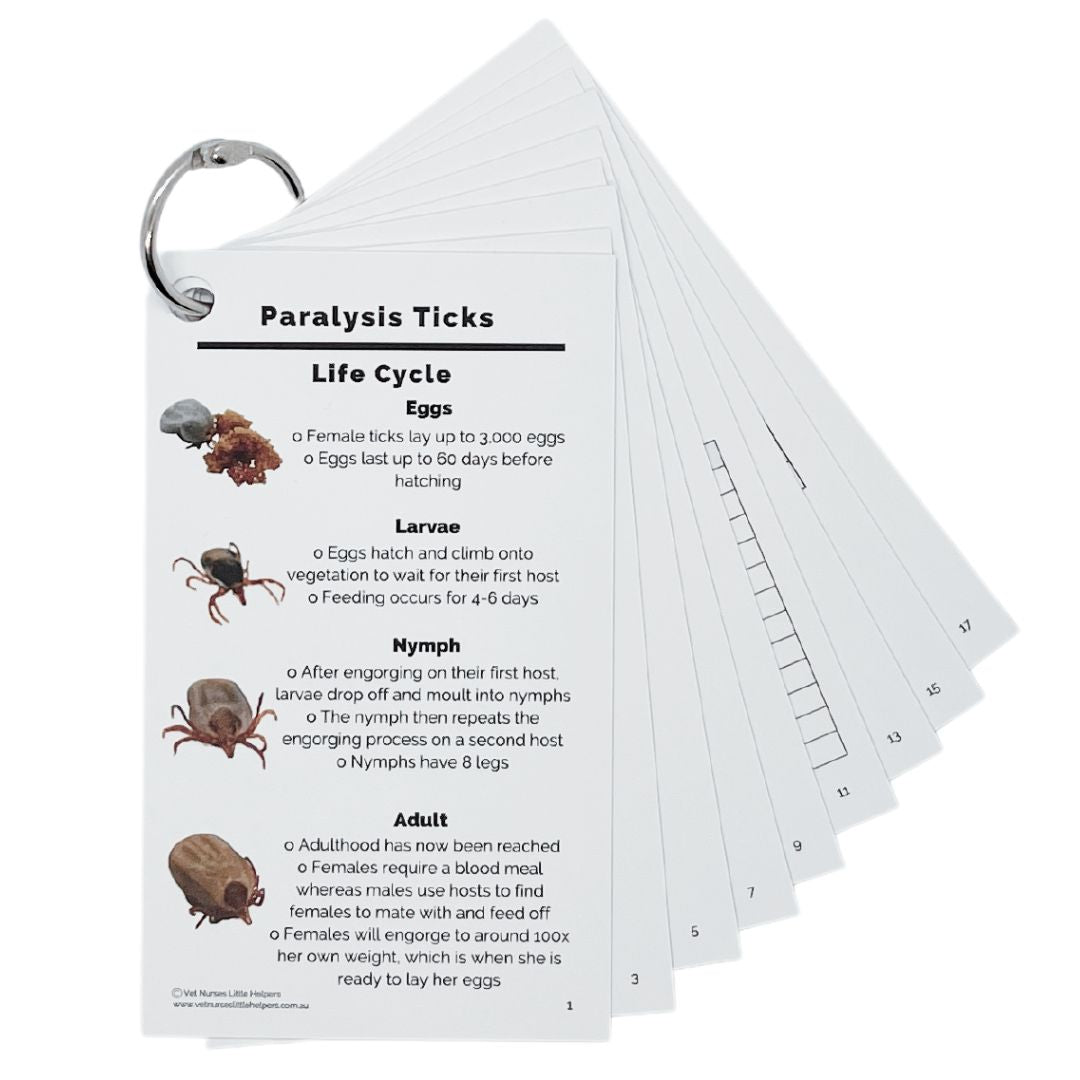 Paralysis Ticks - Vet Nurses Little Helpers