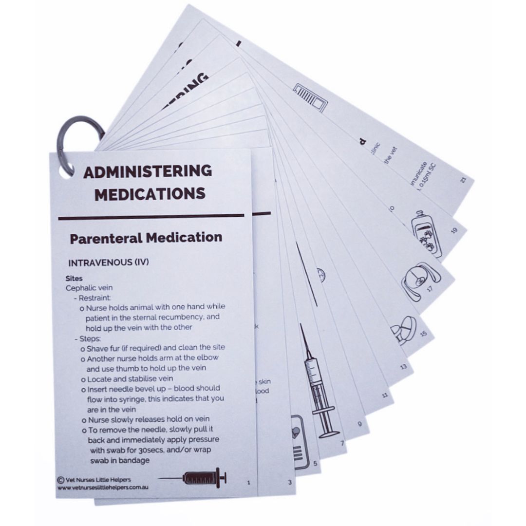 Administering Medications - Vet Nurses Little Helpers