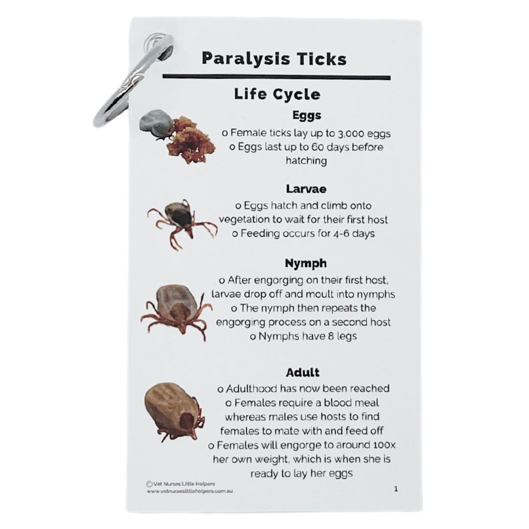 Paralysis Ticks - Vet Nurses Little Helpers