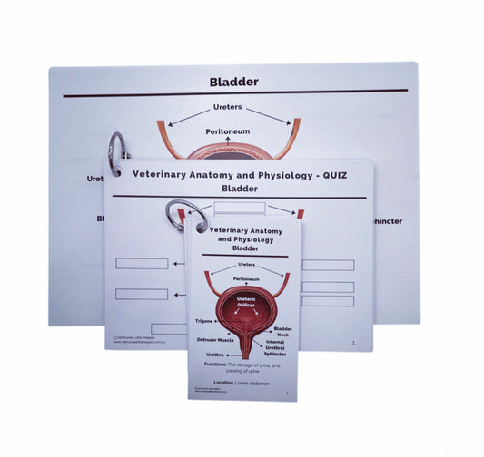 Anatomy and Physiology Bundle - Vet Nurses Little Helpers