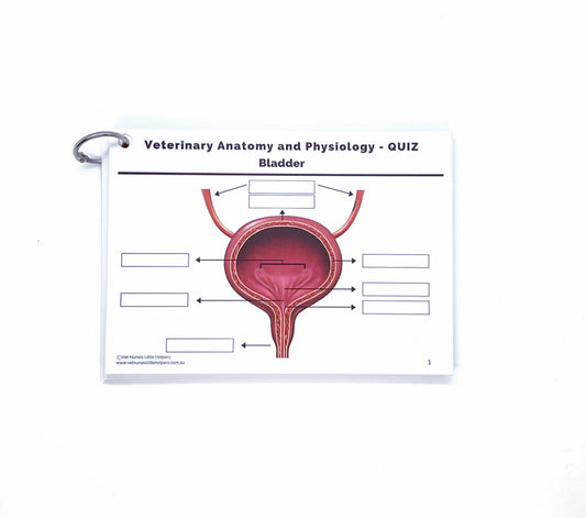Anatomy and Physiology - Quiz Set - Vet Nurses Little Helpers