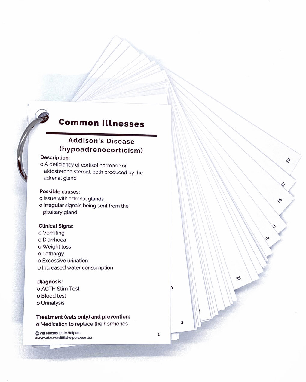 Common Illnesses - Vet Nurses Little Helpers