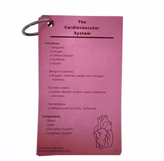 The Cardiovascular System - Vet Nurses Little Helpers