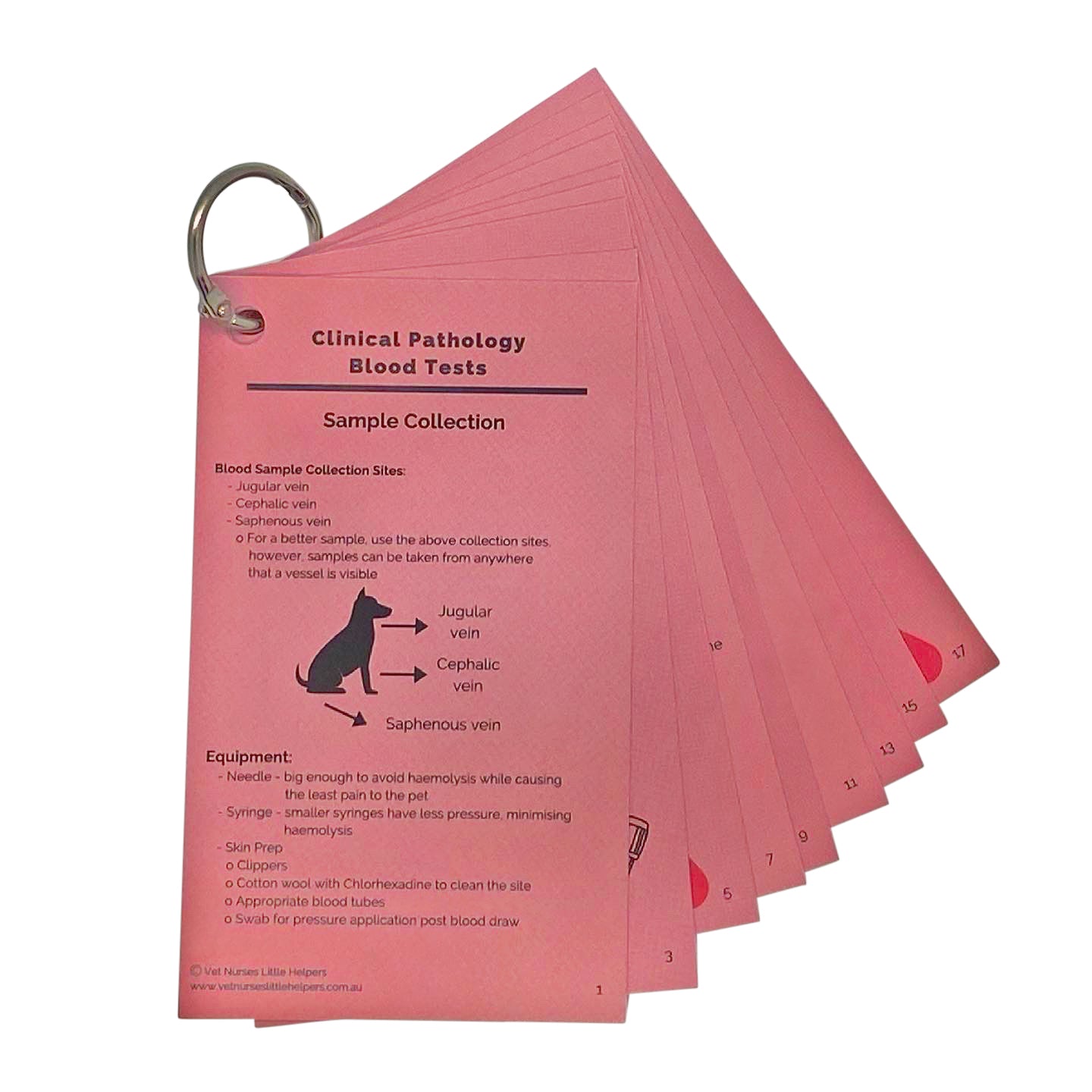 Clinical Pathology - Blood Tests - Vet Nurses Little Helpers