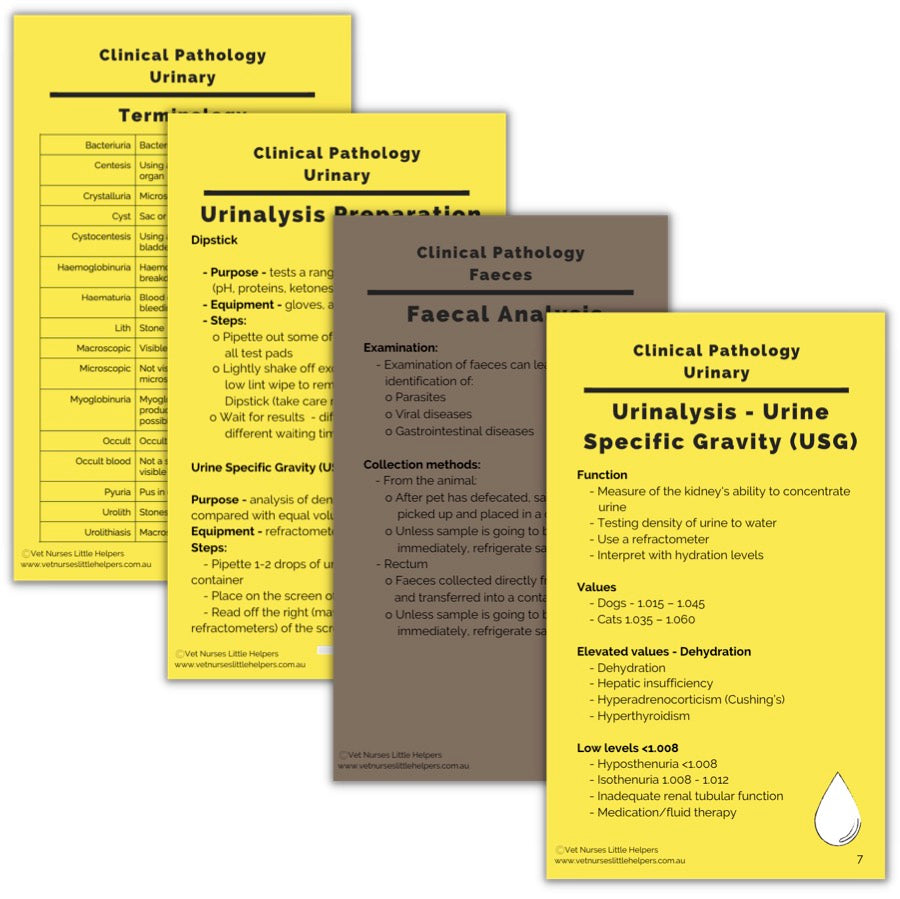 Clinical Pathology - Urinalysis and Faeces Flash Card Set - Digital Version - Vet Nurses Little Helpers