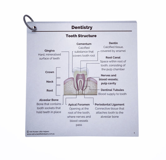 Dental - Vet Nurses Little Helpers