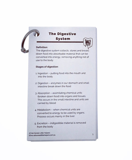 The Digestive System - Vet Nurses Little Helpers