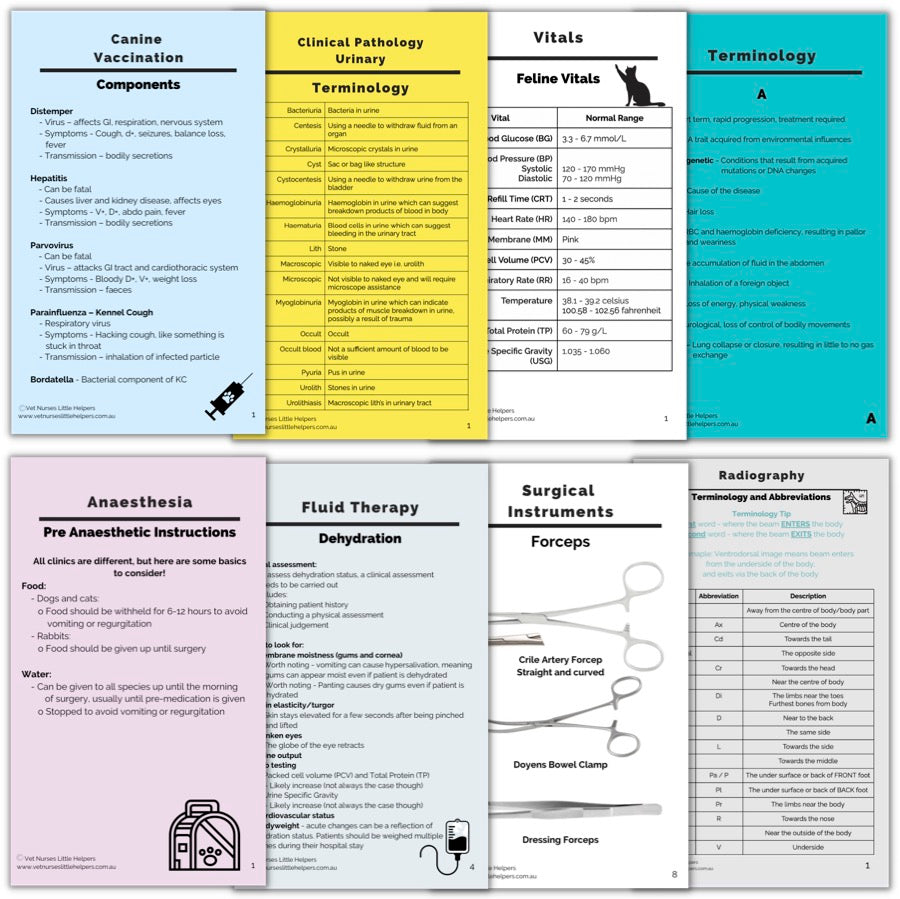 The Digital Flash Card Bundle - Vet Nurses Little Helpers