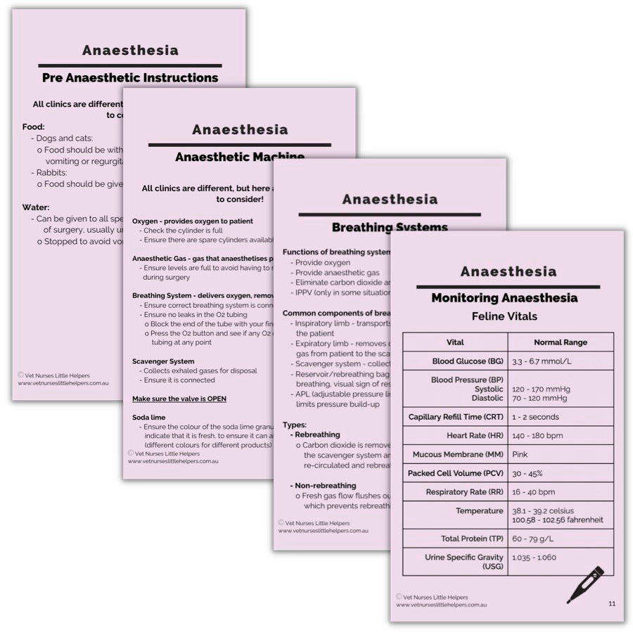 Anaesthesia Flash Card Set - Digital Version - Vet Nurses Little Helpers