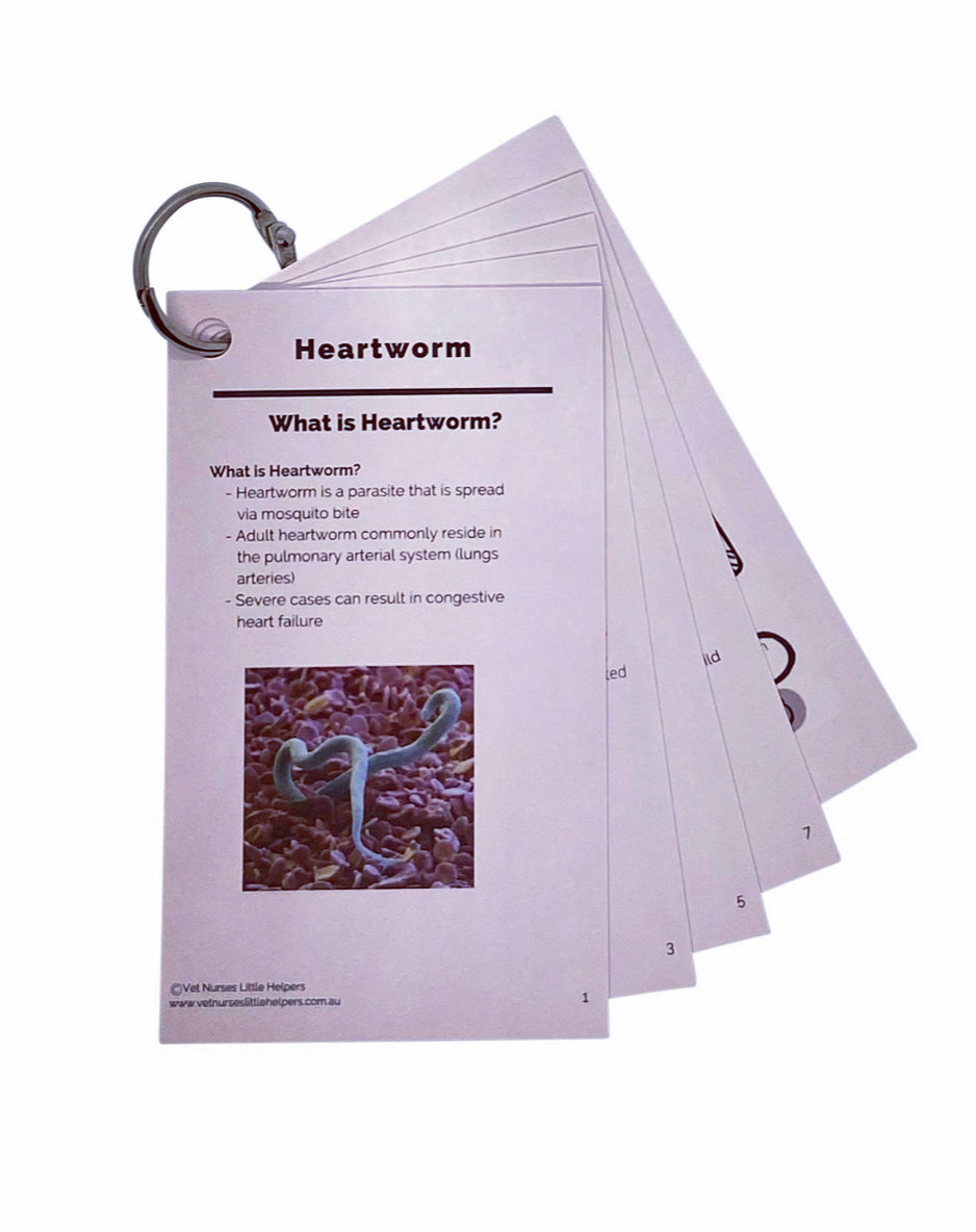 Heartworm - Vet Nurses Little Helpers
