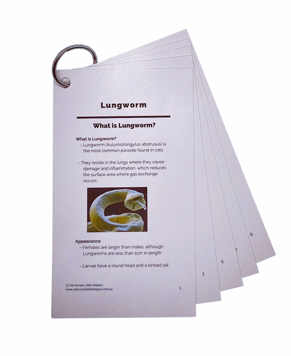 Lungworm - Vet Nurses Little Helpers