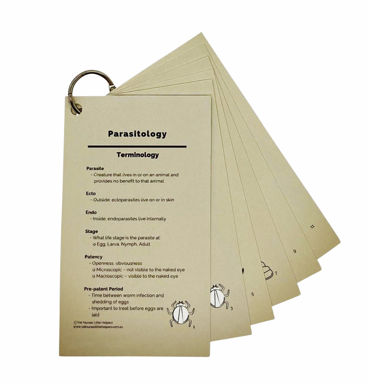 Parasitology - Vet Nurses Little Helpers