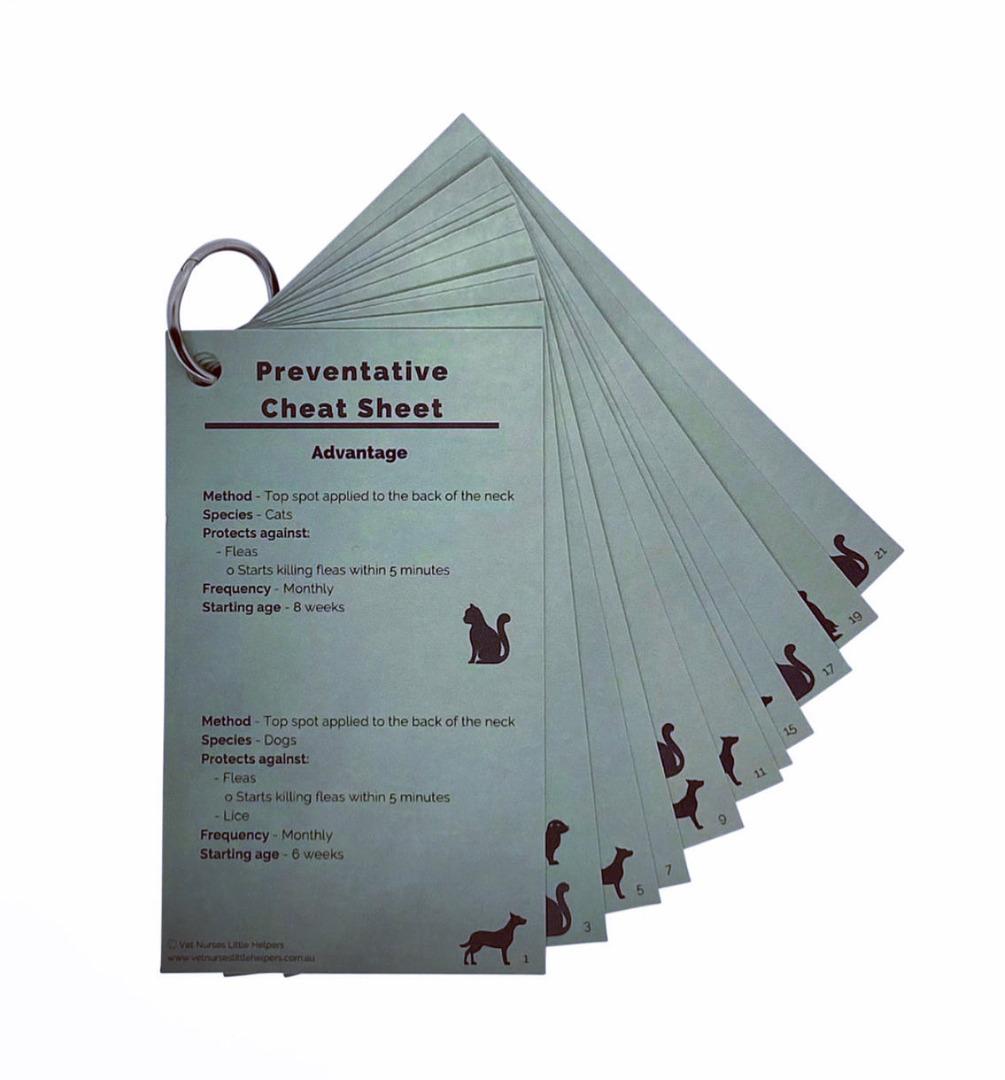 Preventative Cheat Sheet - Vet Nurses Little Helpers