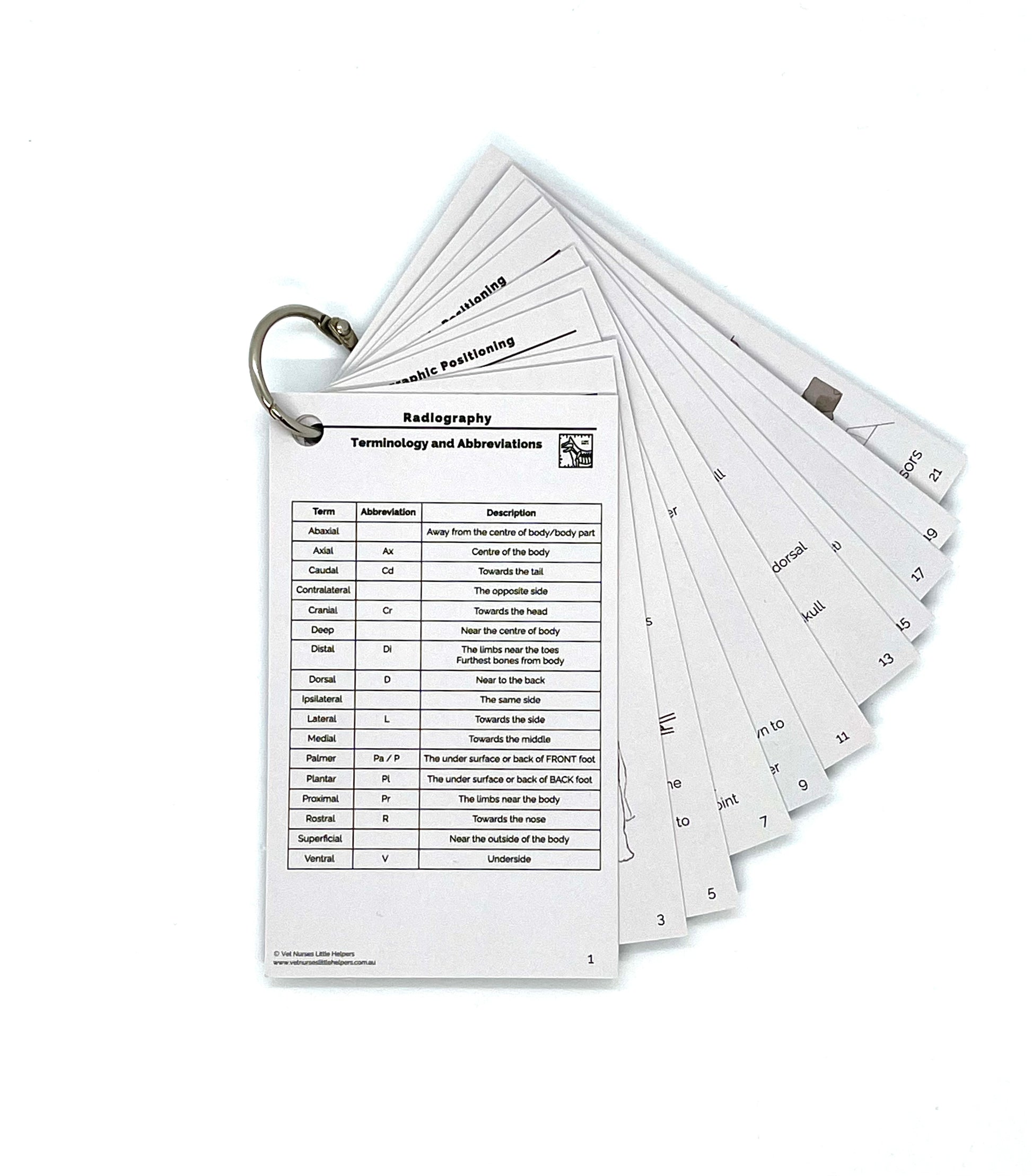 The Radiography Bundle - Vet Nurses Little Helpers