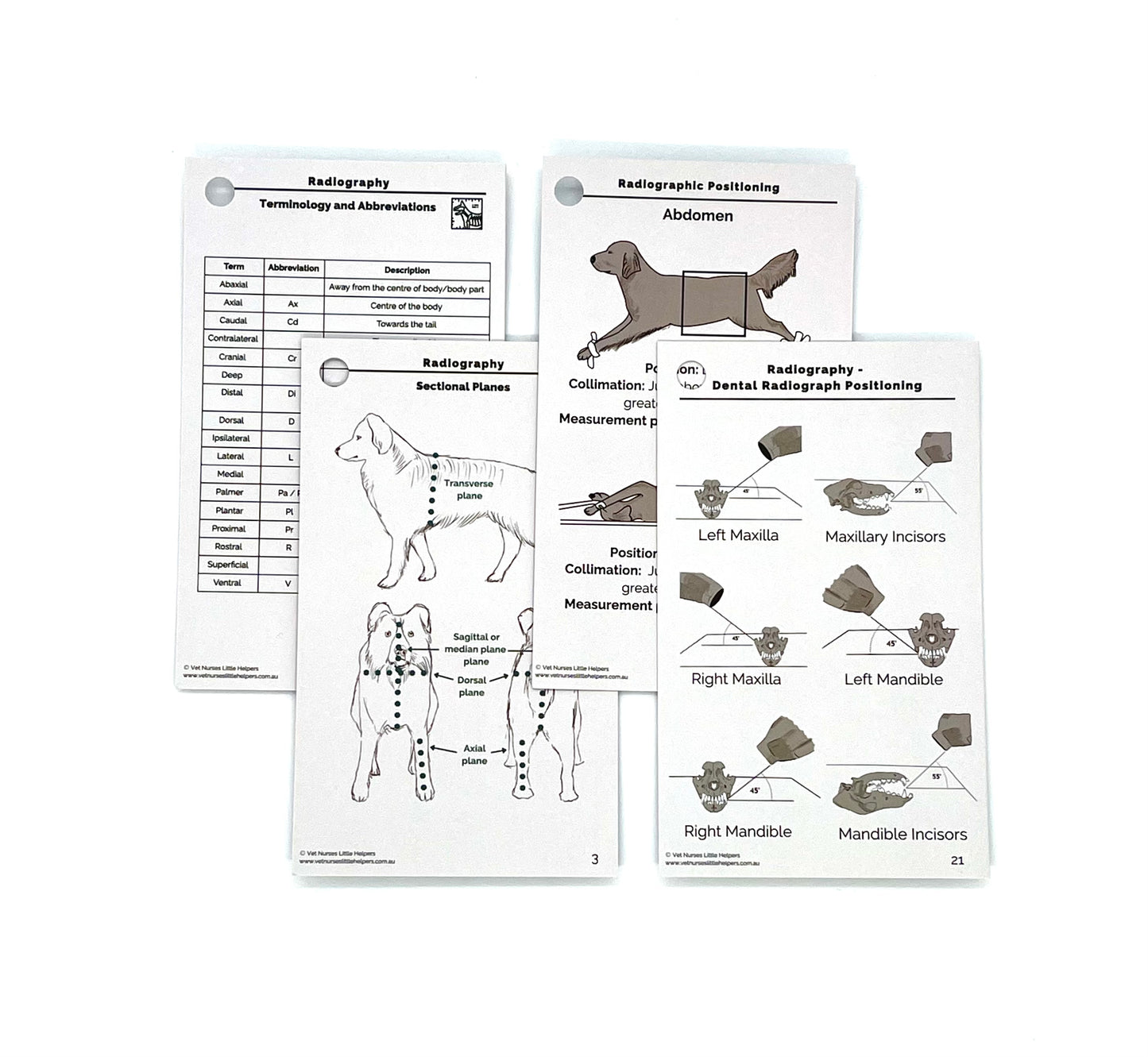 The Radiography Bundle - Vet Nurses Little Helpers