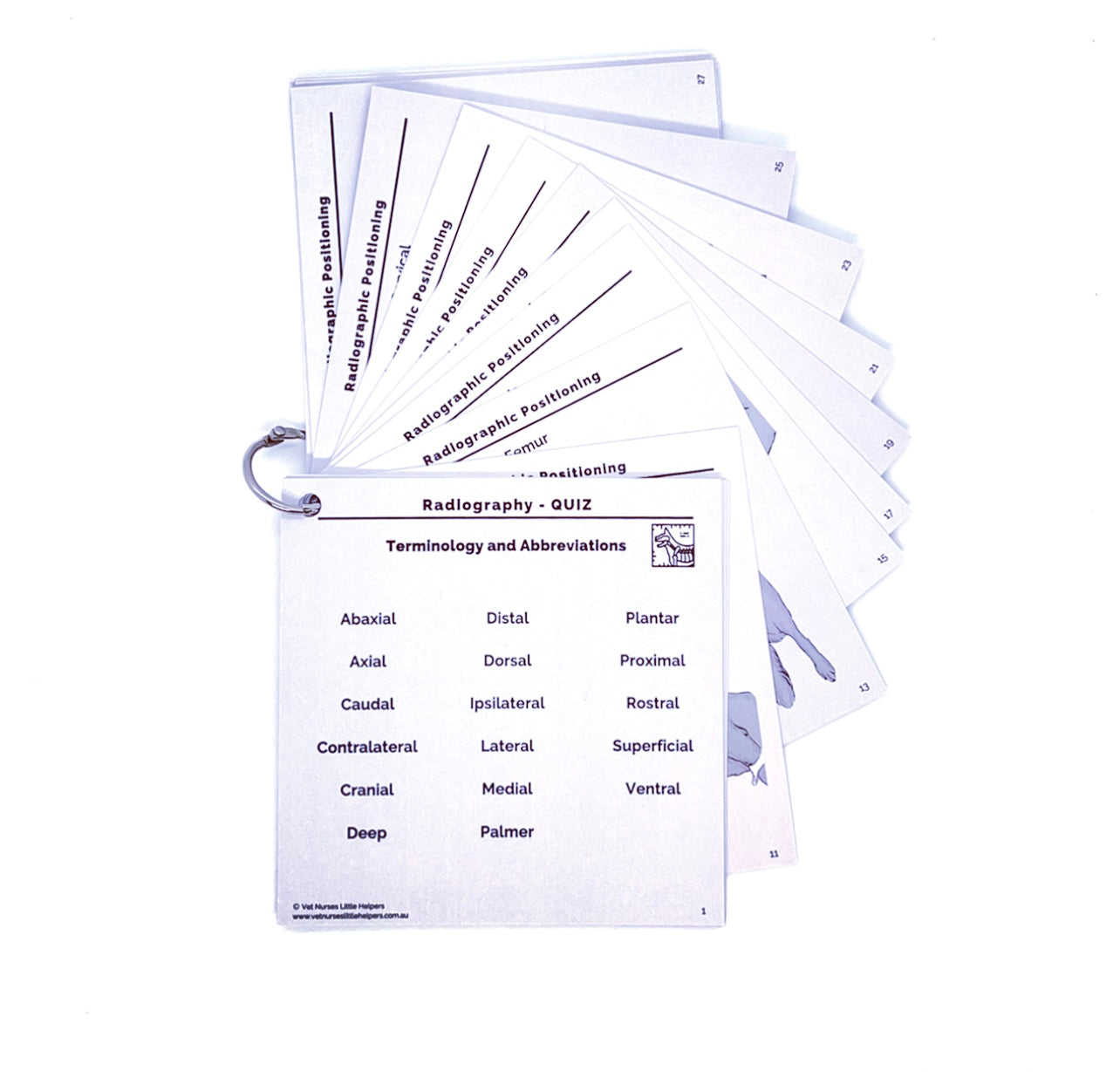 Radiography - Quiz Set - Vet Nurses Little Helpers