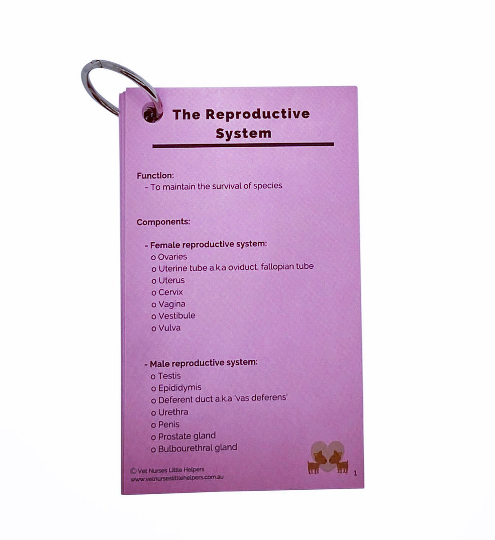 The Reproductive System - Vet Nurses Little Helpers