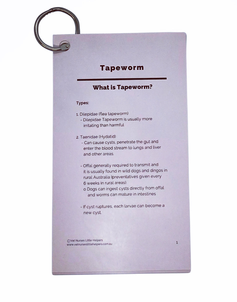 Tapeworm - Vet Nurses Little Helpers