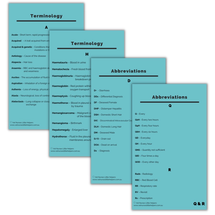 Terminology and Abbreviations Flash Card Set - Digital Version - Vet Nurses Little Helpers