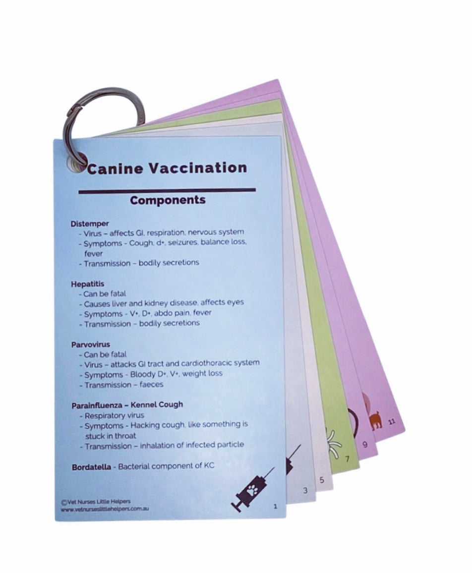 The Basics - Vet Nurses Little Helpers