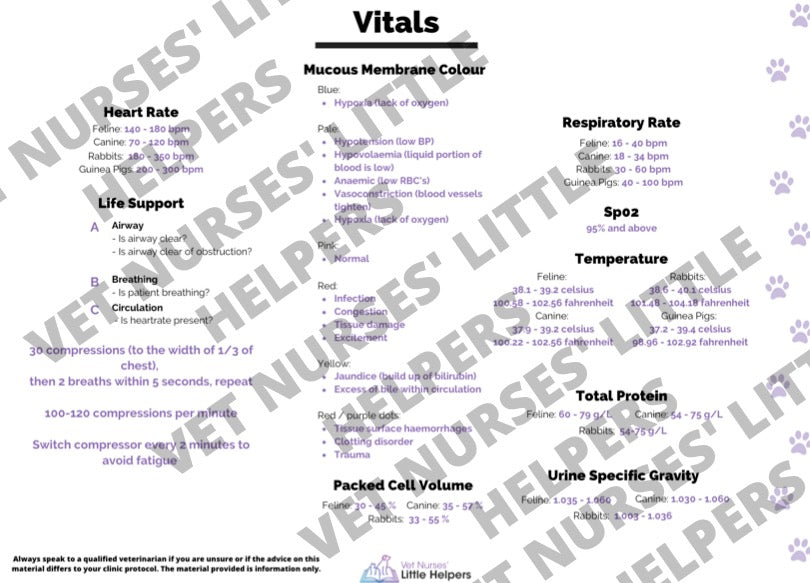 Vitals Information Card - Vet Nurses Little Helpers