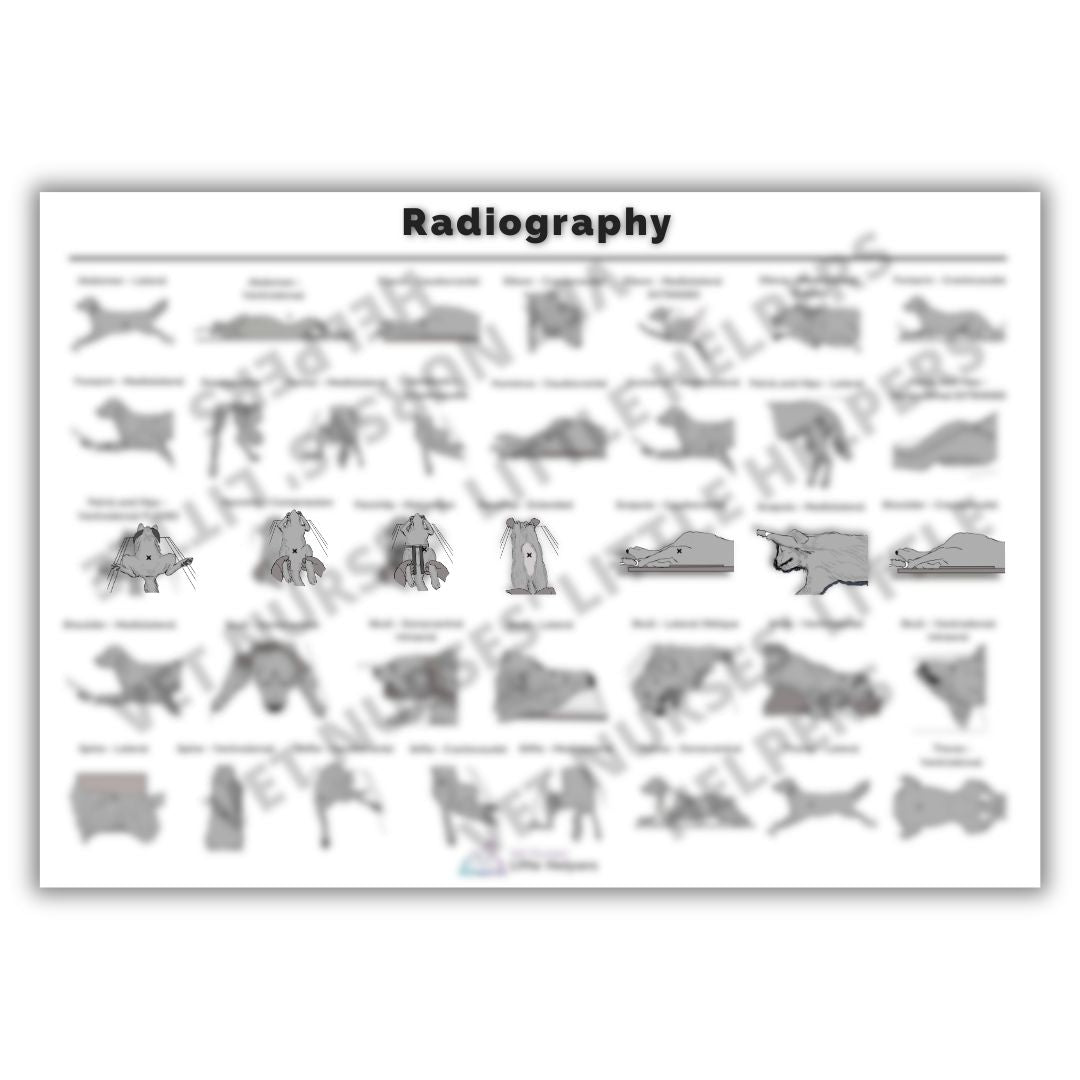 Radiography Poster - Digital Version
