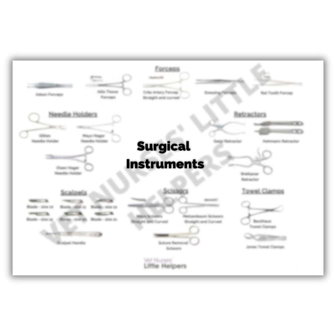 Veterinary Instruments Diagram Surgical Instruments Poster - Digital Version – Vet Nurses Little Helpers