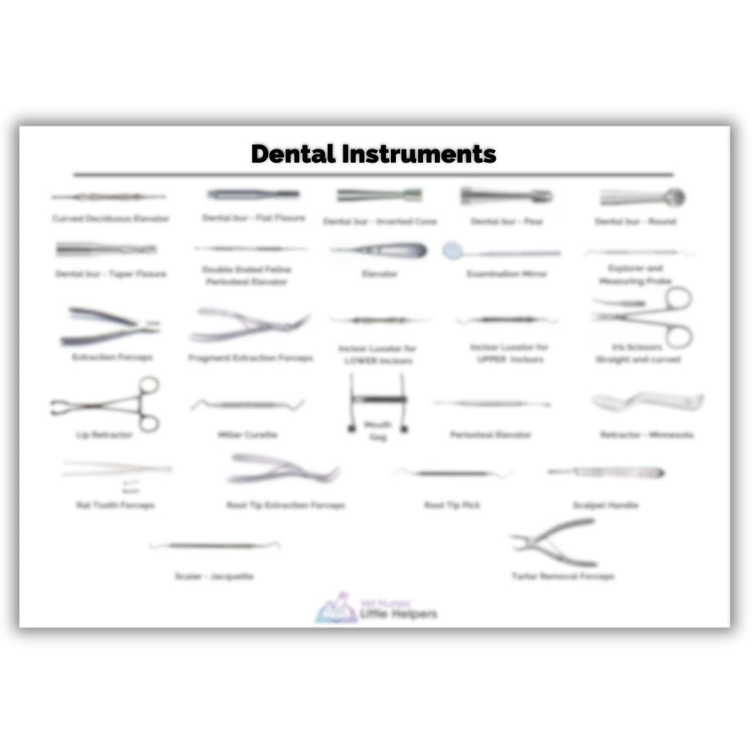 Dental Instruments Poster - Digital Version - Vet Nurses Little Helpers