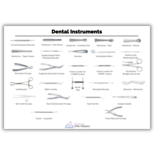 Dental Instruments Poster - Digital Version - Vet Nurses Little Helpers