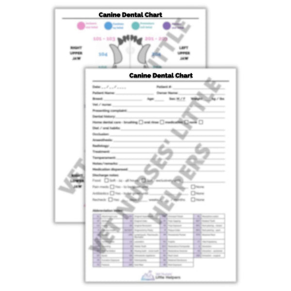 Canine Dental Chart Poster Digital Version Vet Nurses Little Helpers