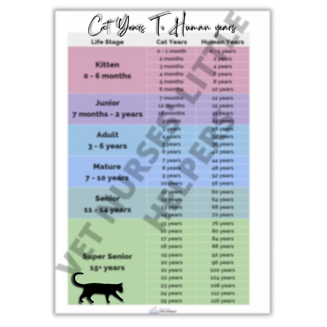 Feline Age Poster - Digital Version - Vet Nurses Little Helpers