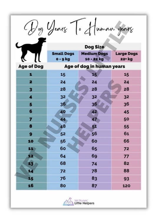 Canine Age Poster - Vet Nurses Little Helpers