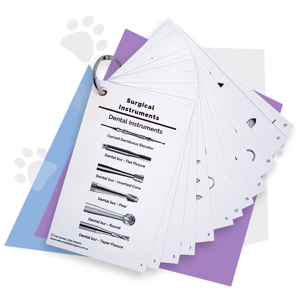 Vet Nurses' Little Helpers