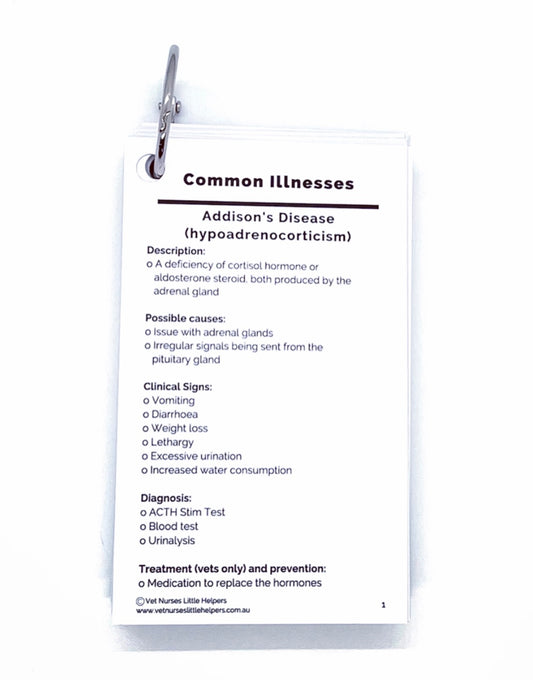 Common Illnesses - Vet Nurses Little Helpers