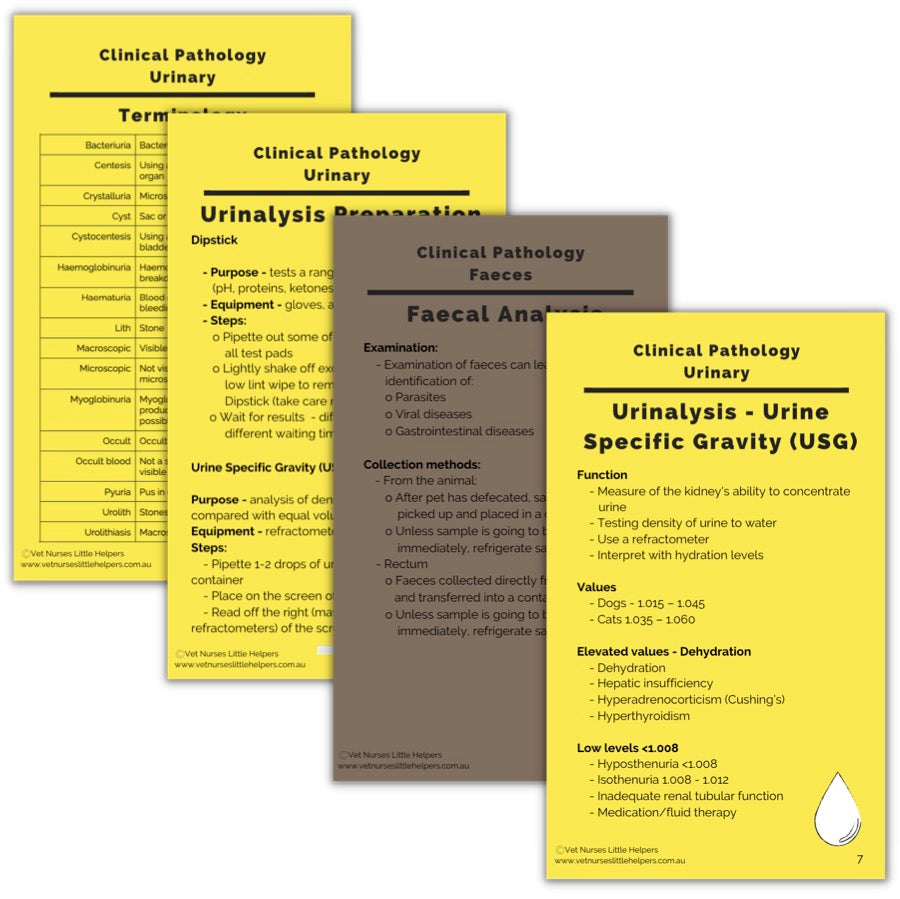 Clinical Pathology - Urinalysis and Faeces Flash Card Set - Digital Version