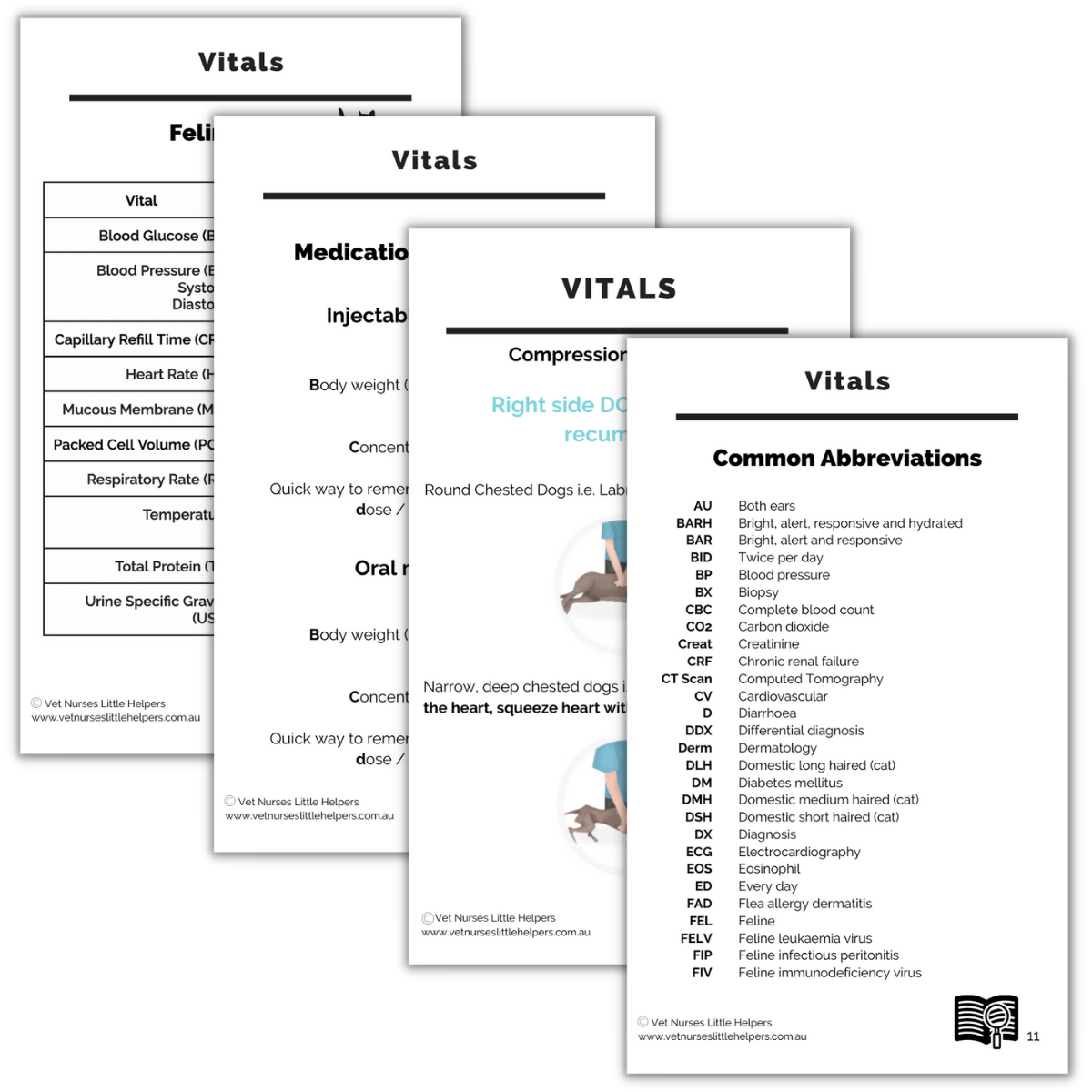 The Vitals Flash Card Set - Digital Version - Vet Nurses Little Helpers