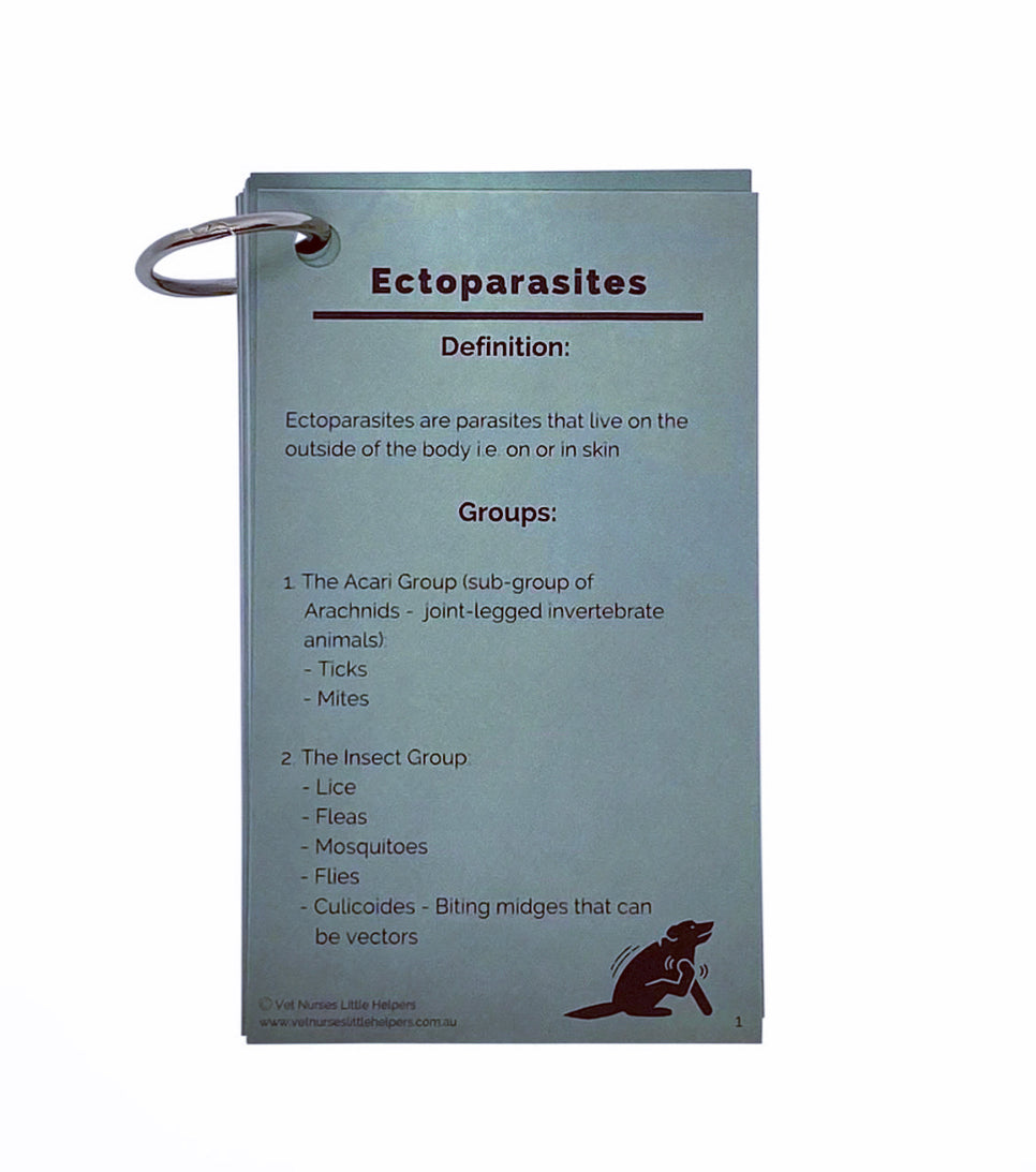 Ectoparasites - Vet Nurses Little Helpers