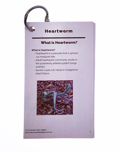 Heartworm - Vet Nurses Little Helpers