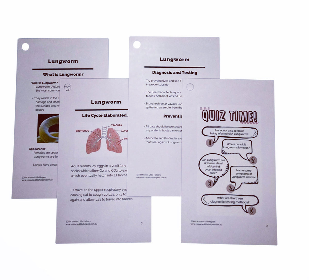 Lungworm - Vet Nurses Little Helpers