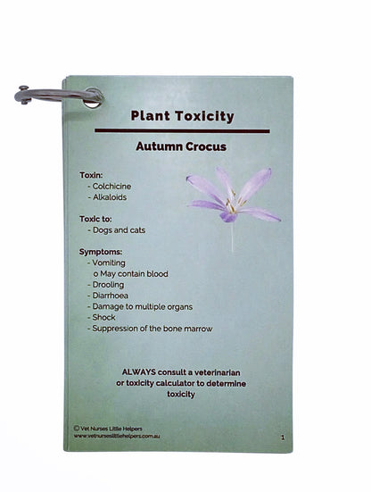 Plant Toxicity - Vet Nurses Little Helpers