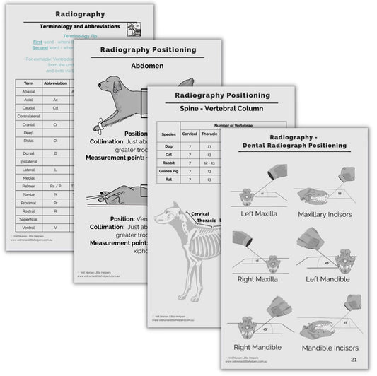 Radiography Flash Card Set - Digital Version - Vet Nurses Little Helpers